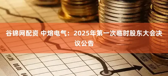 谷锦网配资 中熔电气：2025年第一次临时股东大会决议公告